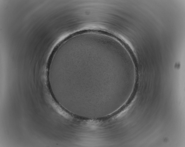 X0000094441029200711151400