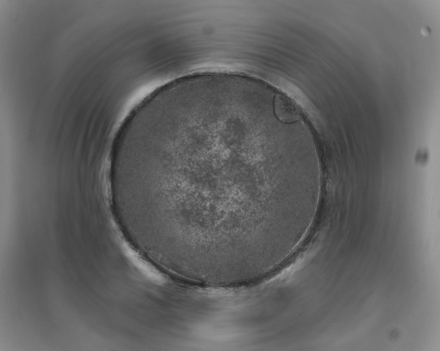 X0000094441030200711151400