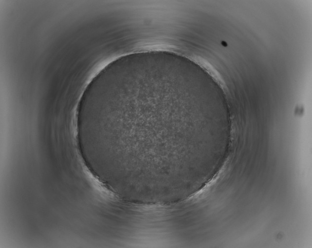 X0000094441031200711151400