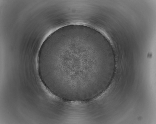 X0000094441032200711151400