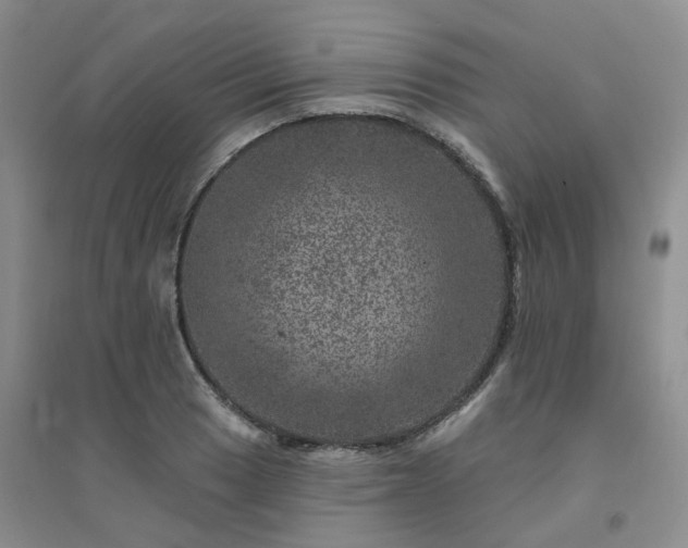 X0000094441033200711151400