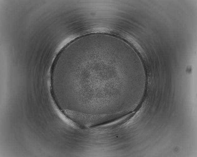 X0000094441034200711151400
