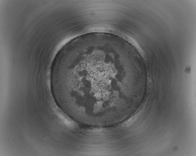 X0000094441035200711151400