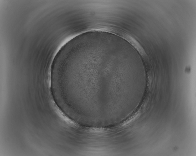 X0000094441036200711151400