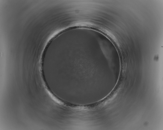 X0000094441037200711151400