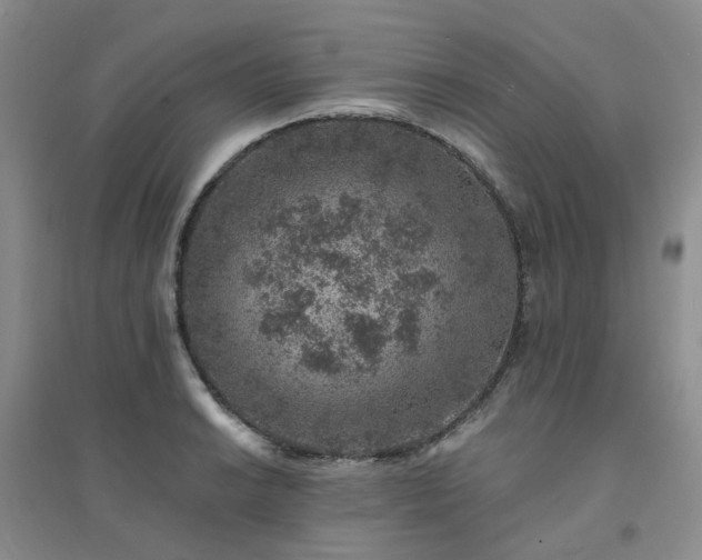 X0000094441038200711151400