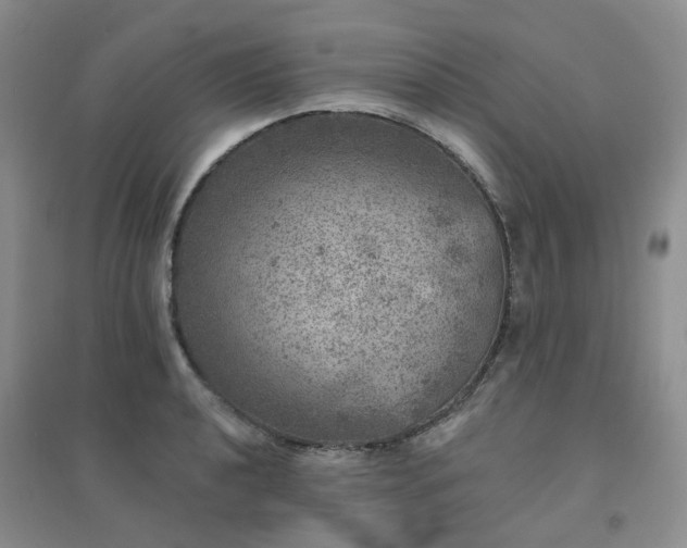 X0000094441040200711151400