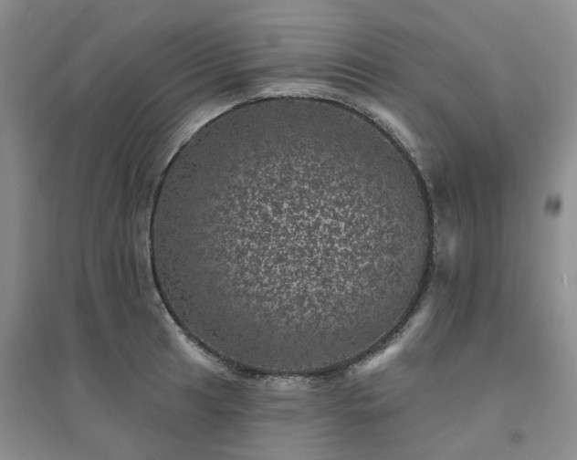 X0000094441041200711151400