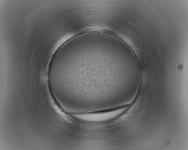 X0000094441042200711151400