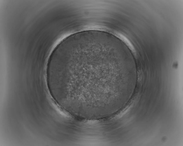 X0000094441043200711151400