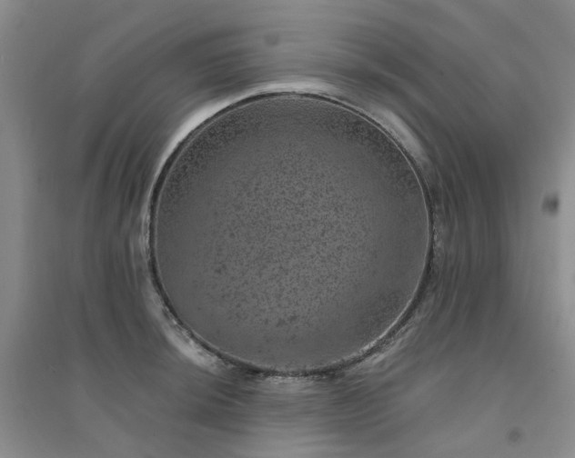 X0000094441044200711151400
