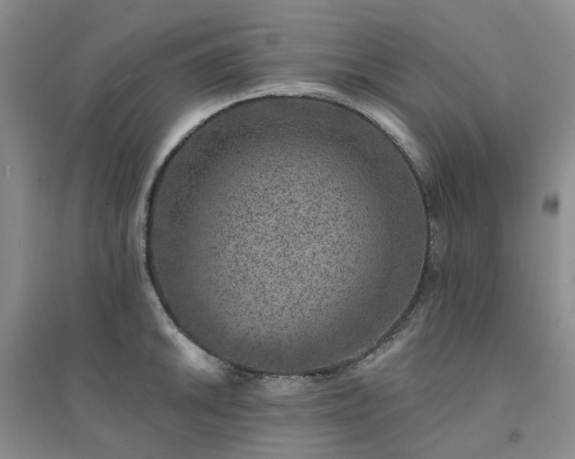 X0000094441046200711151400