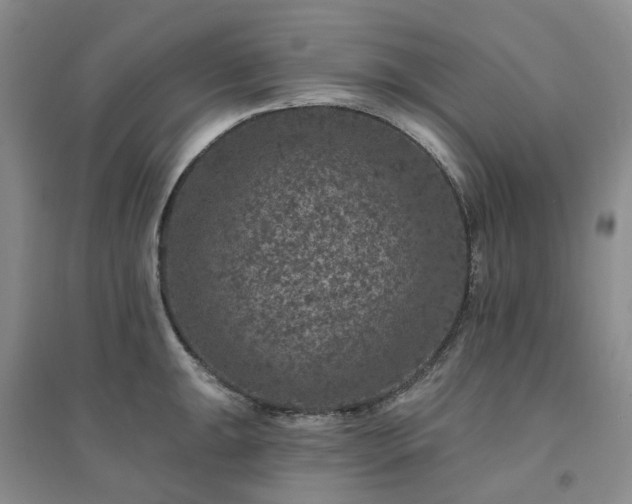 X0000094441047200711151400