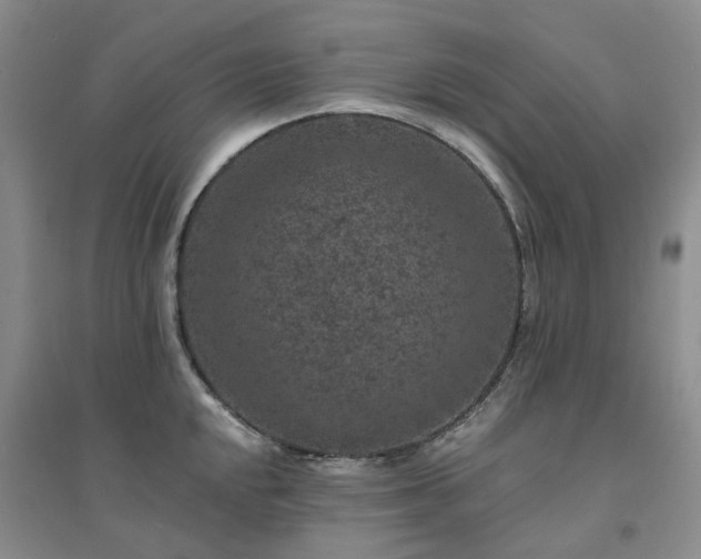 X0000094441048200711151400