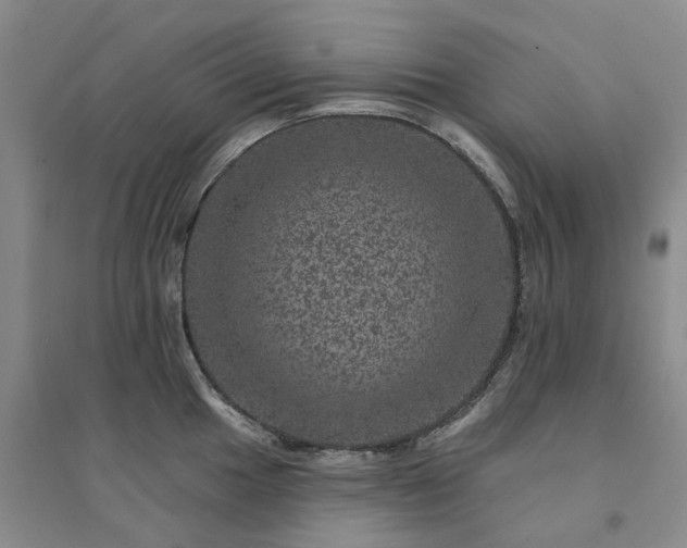 X0000094441049200711151400