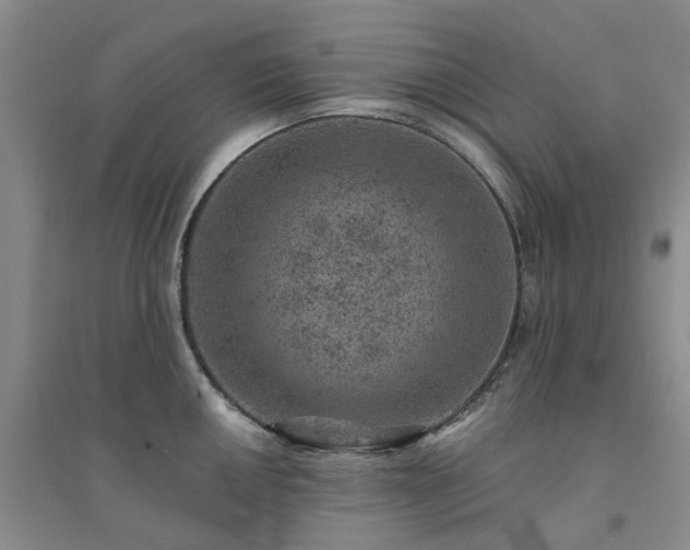 X0000094441050200711151400