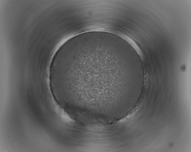 X0000094441051200711151400