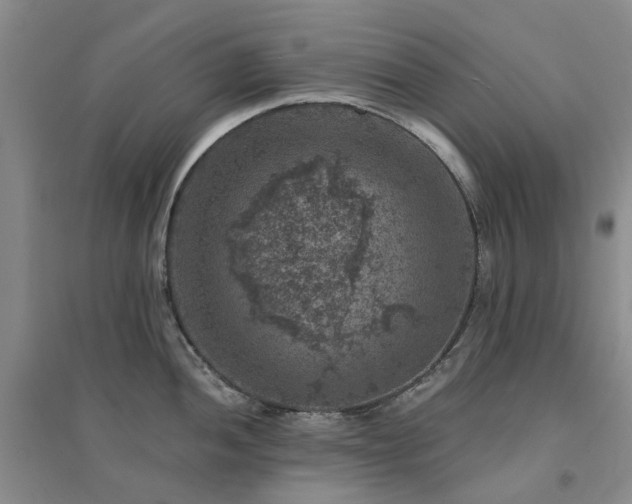 X0000094441052200711151400