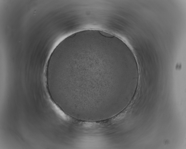 X0000094441056200711151400