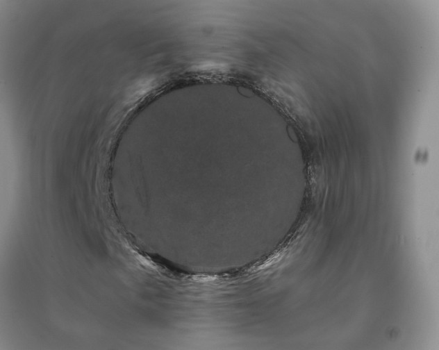 X0000094441057200711151359