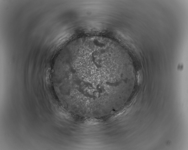 X0000094441059200711151359