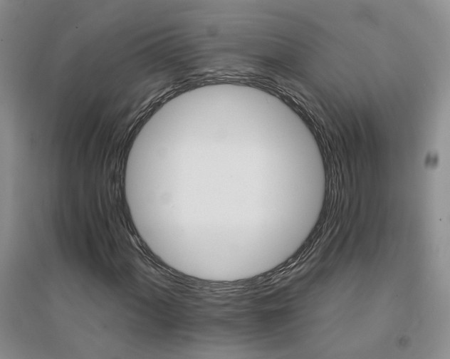 X0000094441060200711151359