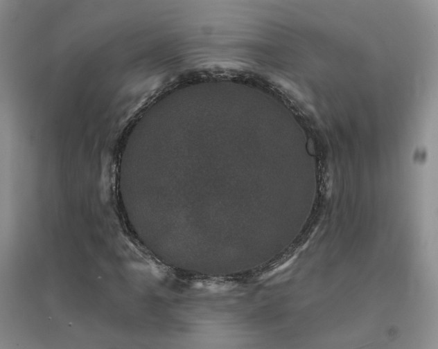 X0000094441061200711151359
