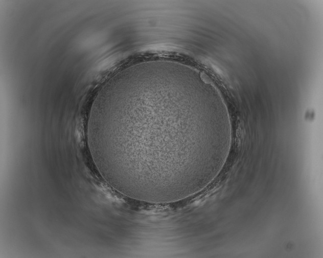 X0000094441062200711151359