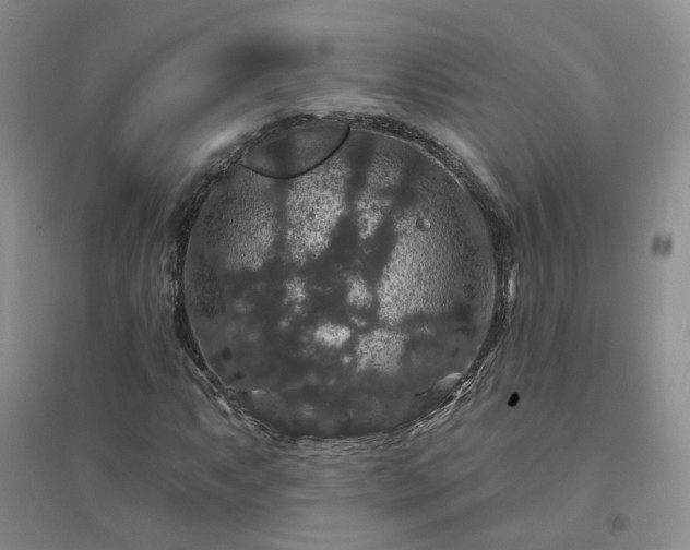 X0000094441063200711151359
