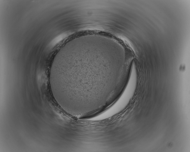 X0000094441064200711151359