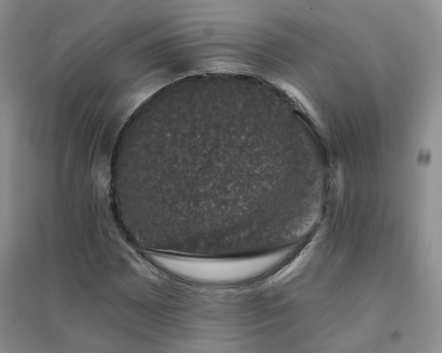 X0000094441065200711151359