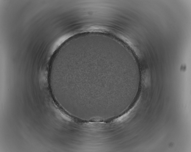 X0000094441066200711151359