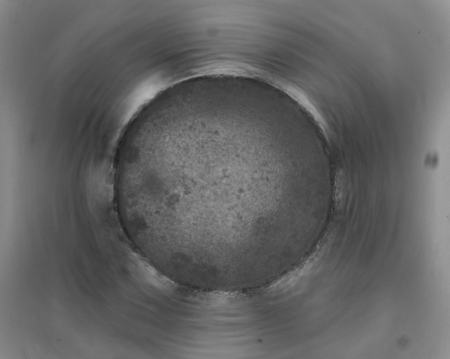 X0000094441067200711151359