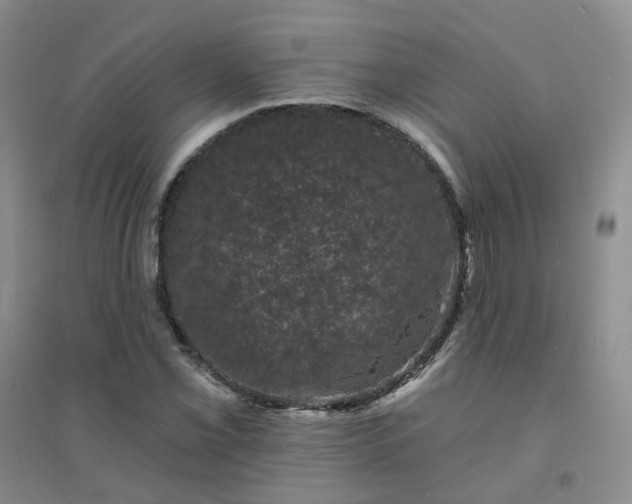 X0000094441069200711151359