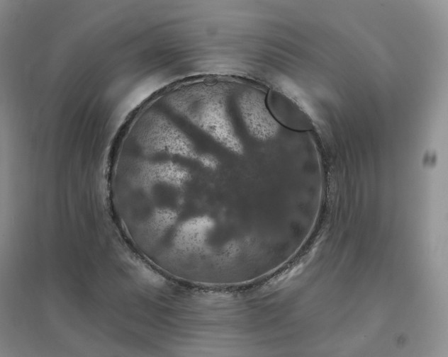 X0000094441071200711151359