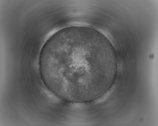 X0000094441074200711151359