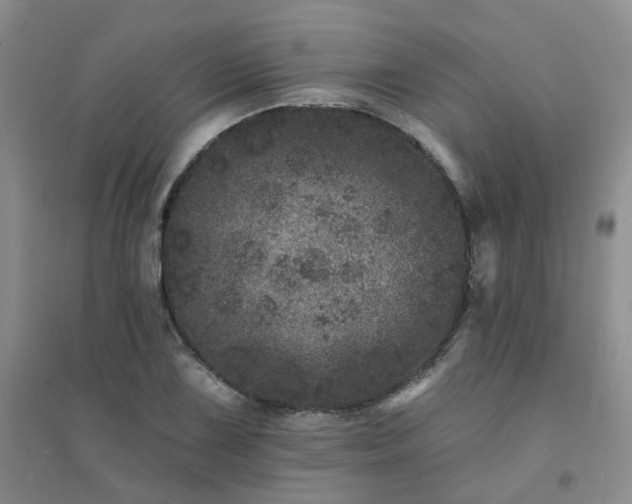X0000094441075200711151359