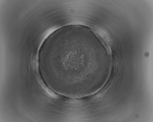 X0000094441076200711151359