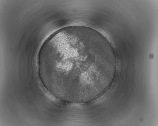 X0000094441078200711151359