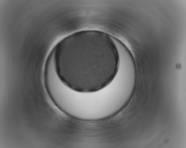 X0000094441080200711151359