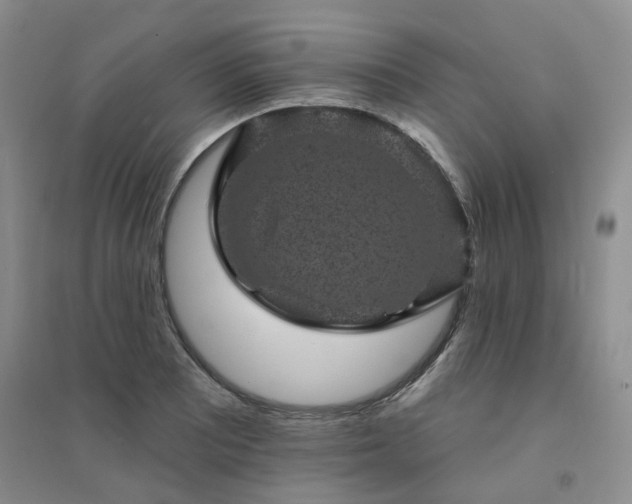 X0000094441081200711151359