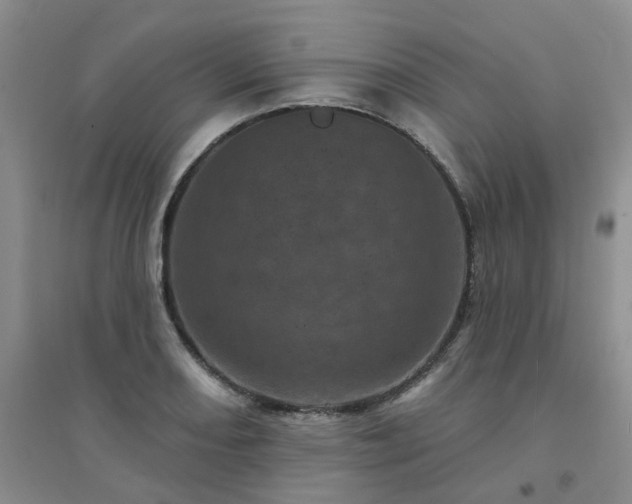 X0000094441082200711151359