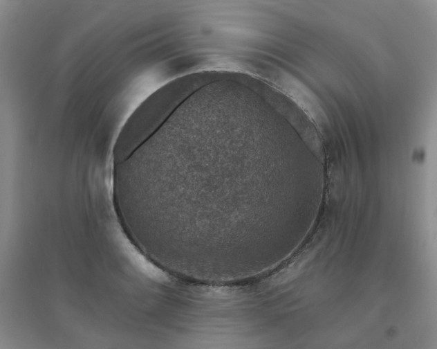 X0000094441084200711151359