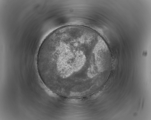 X0000094441086200711151359
