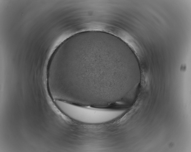 X0000094441088200711151359