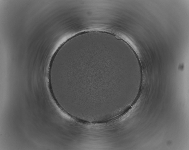 X0000094441093200711151359