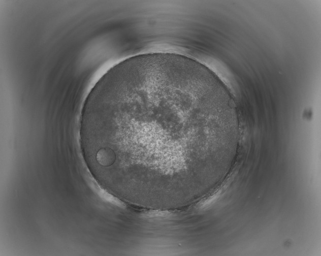 X0000094441094200711151359