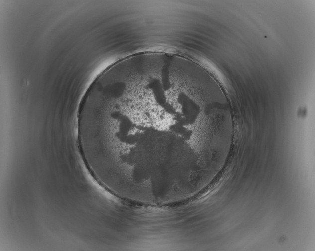 X0000094441095200711151359
