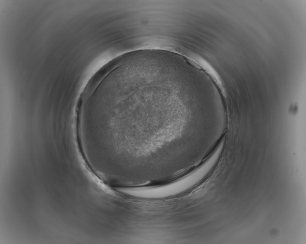 X0000094441096200711151359