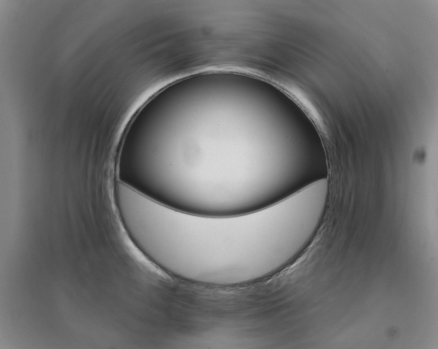 X0000094441100200711151359